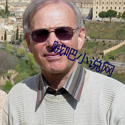 贼吧小说网