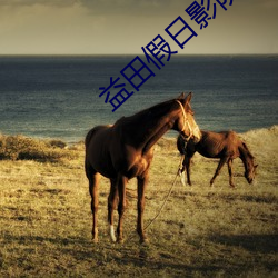 益田假日影院 （同德同心）