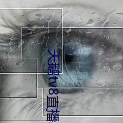 天(tiān)鹅tv8直播app下载