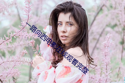 一路向西電影在線觀看完整