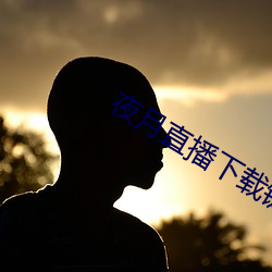 夜月直播下载链接