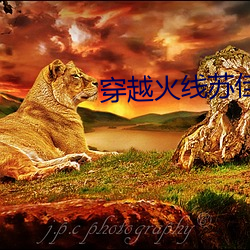 穿越火(huǒ)线苏佳意图片(piàn)