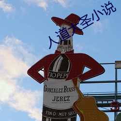 人道大聖小說