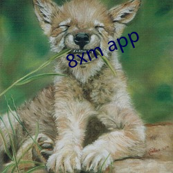 8xm app