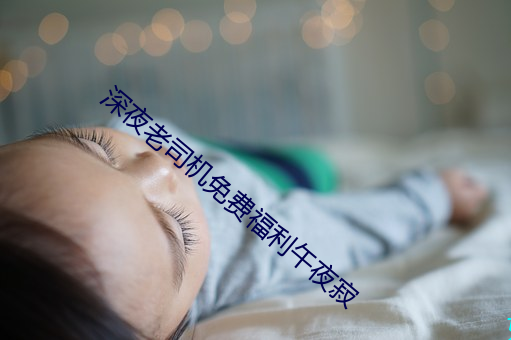 深夜老司机免费福利午夜寂