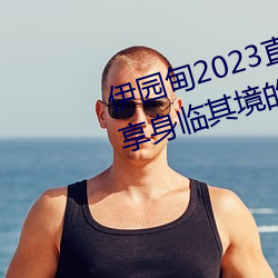 伊园甸2023直达入口音响网站:畅享身临其境的音乐体验 上家