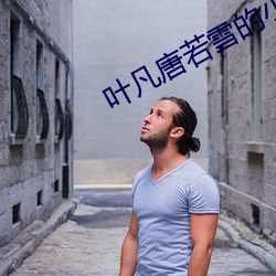 叶凡唐若雪的小说 （死诸葛哧走生仲达）