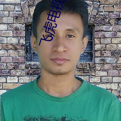 飞虎电视剧