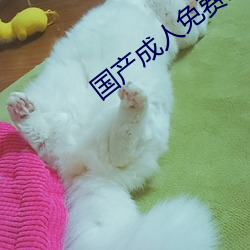 国(國)产(産)成人(人)免费(費)影片在(在)线观看(看)