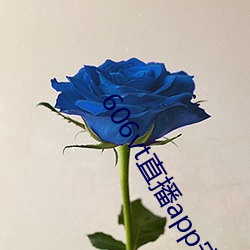 606vt直(zhí)播app安装