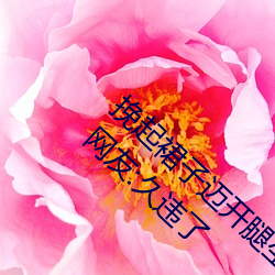 挽起裙子迈开腿坐下去的图片女孩重新开放了!网友:久违了