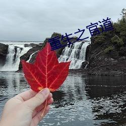 重生之官道