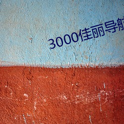 3000佳(jiā)丽导航