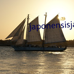 japonensisjava中国