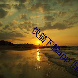 快貓下載app 舊版本