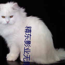精(精)东影业(業)无限(限)观(觀)看(看)版(版)下(下)载(載)