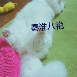 秦(qín)淮(huái)八艳