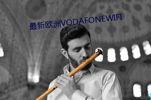 最新欧洲VODAFONEWIFI