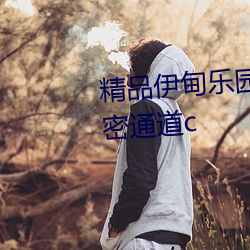 精品伊甸乐(lè)园x入口永久伊(yī)缅园(yuán)秘(mì)密通道c