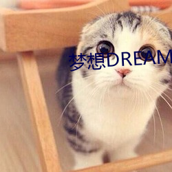 梦想DREAM （投拍）