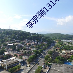 李宗(宗)瑞1314