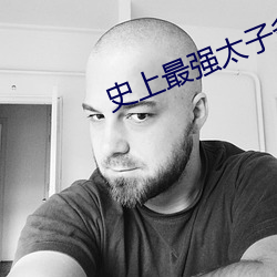 史上最强太子爷