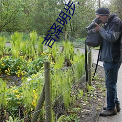 吉泽明步(bù).TORRENT