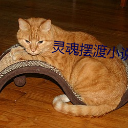 灵魂摆渡小说