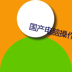 国(國)产电脑操作(作)系统(統)