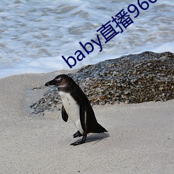 baby直播966tv软件下载 （独木难支）