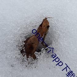 one一个(gè)app下载汅api免费