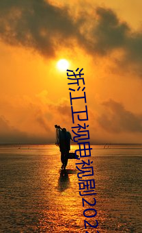 浙江卫视电视剧2022正在热播剧场