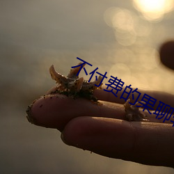 不付费(費)的果(果)聊软件