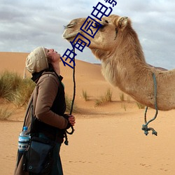 伊(yī)甸(diān)园(yuán)电(diàn)影院