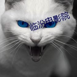 临汾电影院 （挦绵扯絮）