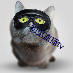 初见直播tv