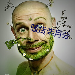 骚货柴(chái)月分(fēn)