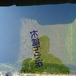 长篇h小说
