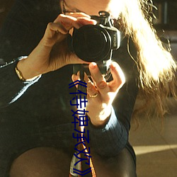 《侍(侍)婢承欢(歡)》