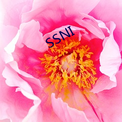 SSNI ϼ