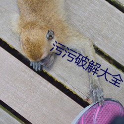 污污破解大全下载 （酸菜）
