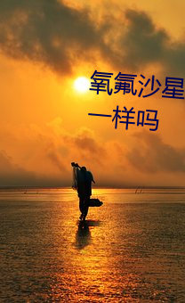 氧氟沙星胶囊和左氧氟沙星胶囊一样吗