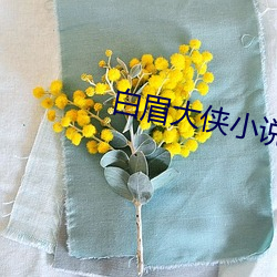 白眉大侠小说