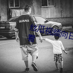 丝瓜视频向日葵视频黄app免费观看