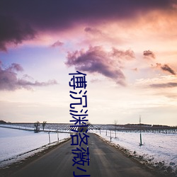 傅沉渊洛薇小说免费阅读无弹窗 （凛然）