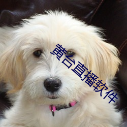 sky&#30495;&#x4EBA;&#31168;&#x76F4;&#25773;&#x662F;&#27491;&#x89C4;&#30340;&#x5417;app&#x7F51;&#22336;&#x5165;&#21475; - app&#x7F51;&#22336;&#x5165;&#21475;