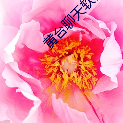金年会 | 诚信至上金字招牌