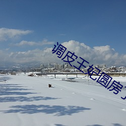 调皮王妃圆房了没
