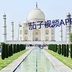 茄子視頻APP最懂你