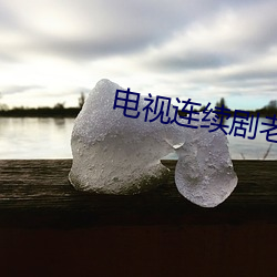 電視連續劇老虎隊在線觀看